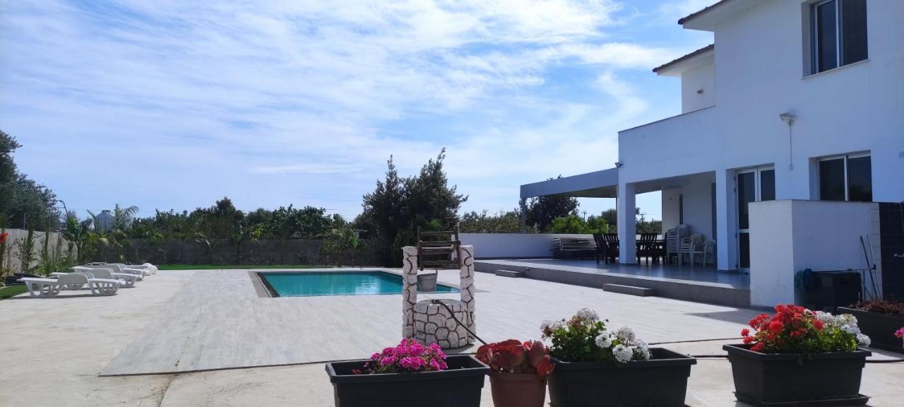 Kiti Village Villa, Cyprus, Salt-Water Pool, 6 Bedrooms, Larnaca מראה חיצוני תמונה