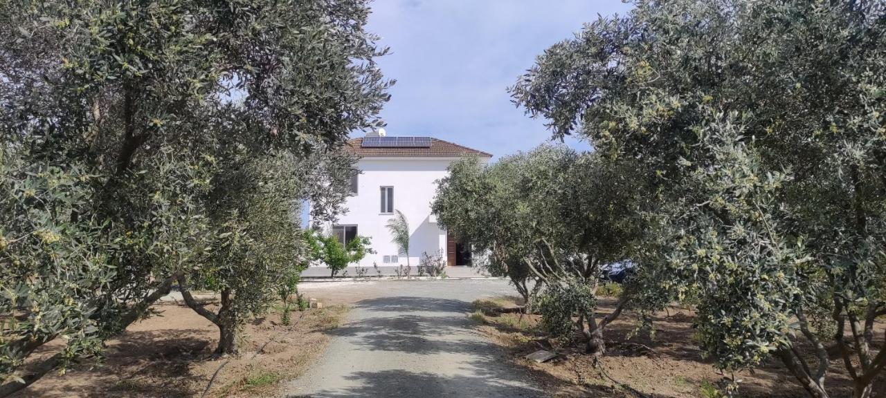 Kiti Village Villa, Cyprus, Salt-Water Pool, 6 Bedrooms, Larnaca מראה חיצוני תמונה