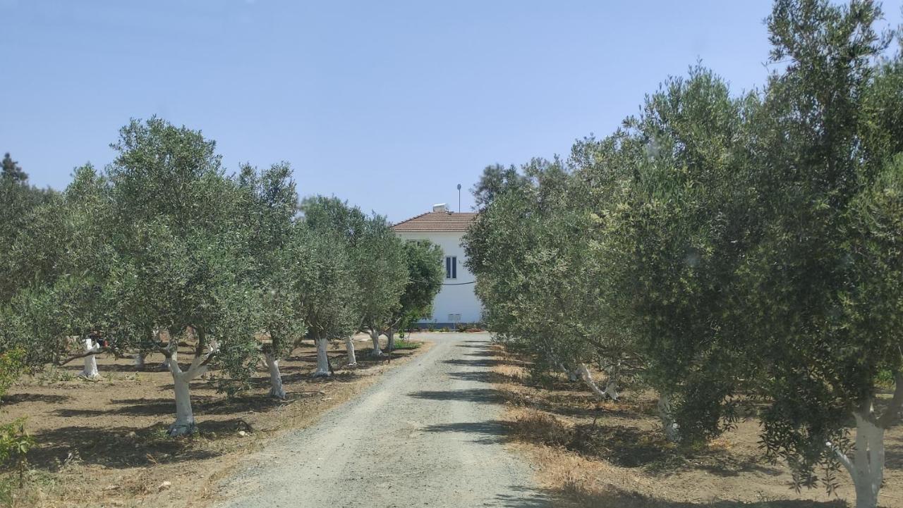 Kiti Village Villa, Cyprus, Salt-Water Pool, 6 Bedrooms, Larnaca מראה חיצוני תמונה