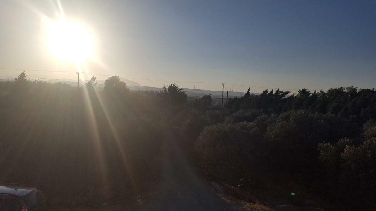 Kiti Village Villa, Cyprus, Salt-Water Pool, 6 Bedrooms, Larnaca מראה חיצוני תמונה